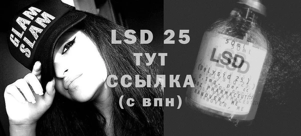 прущие грибы Покров