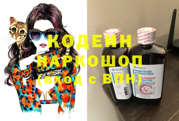 прущие грибы Покров