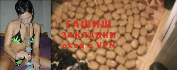 прущие грибы Покров