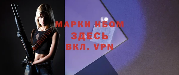 прущие грибы Покров