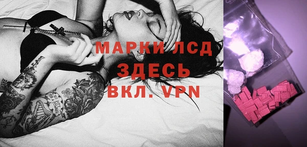 прущие грибы Покров