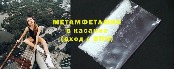 прущие грибы Покров