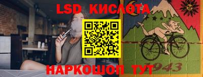 молекула духа Донецк