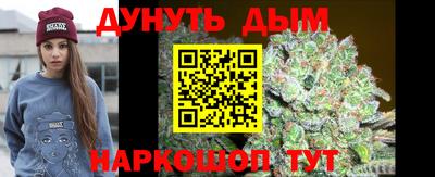 мдпв Дубна