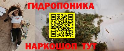молекула духа Донецк