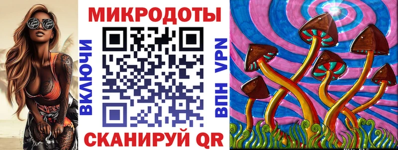 наркошоп  Саяногорск  Псилоцибиновые грибы Psilocybe 