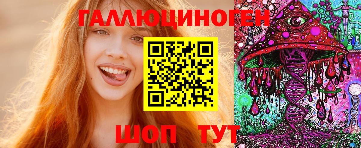 Псилоцибиновые грибы Psilocybe Саяногорск
